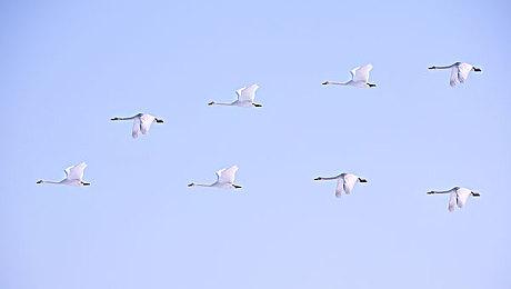 《木卫四协议》制作人：在沙漠中想到游戏创意